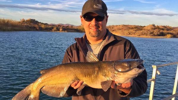 @benny_the_outlier with a nice Lake Havasu Channel Catfish