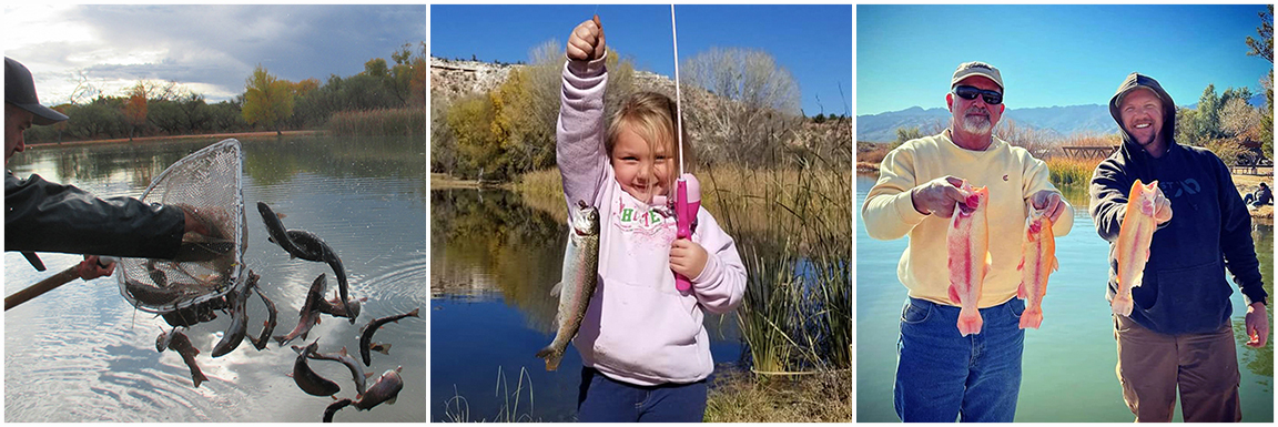 Images of anglers with their trout