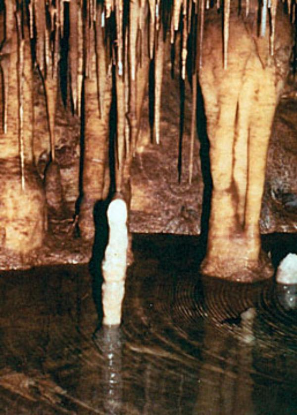 In 1985, water filled parts of the cave at Kartchner Caverns In 1985, water filled parts of the cave at Kartchner Caverns