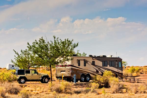 RVs camping in the park