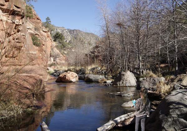 Oak Creek trout fishing from Slide Rock State Park