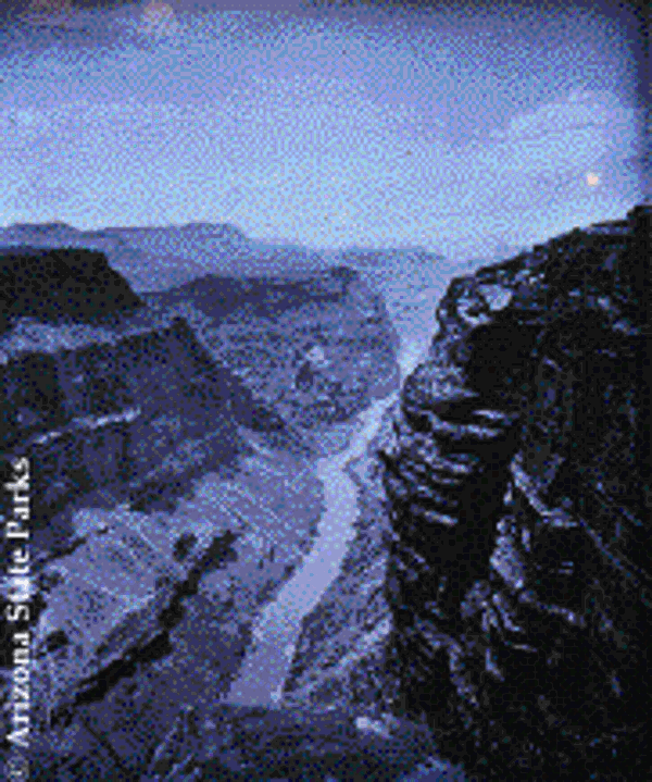 One of the images on the Window Transparency