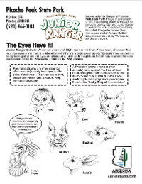Download Junior Ranger Activity booklet