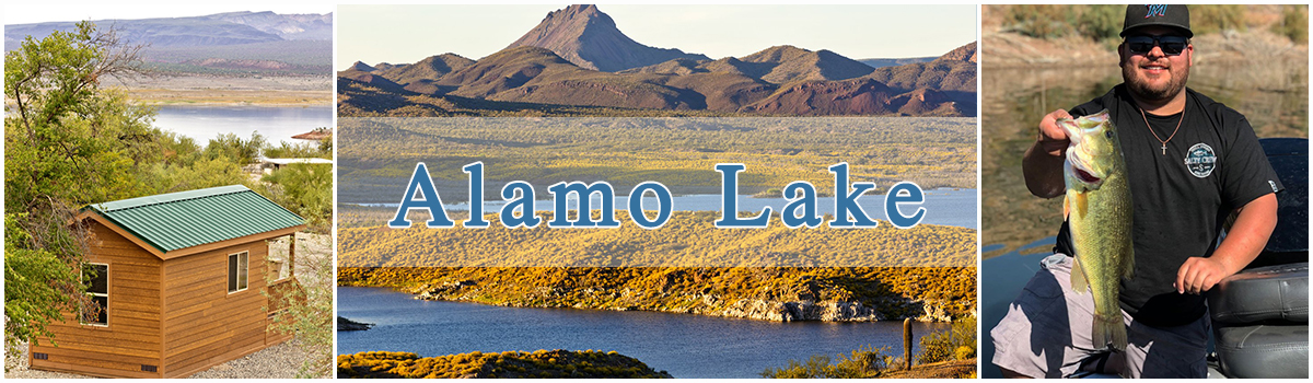 Three photo collage. Alamo Lake Cabins, desert scenery, bass fishing