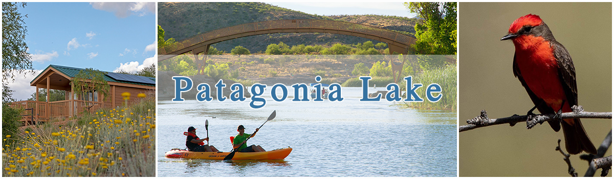 Three photo collage. Arizona Lakes- Patagonia Lake cabin on a hill, people kayaking, and a vermillion flycatcher.