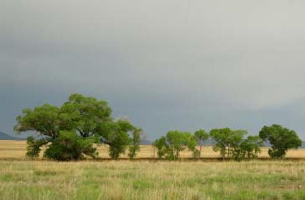 Natural Areas Program Advisory Committee- NAPAC Southern AZ grasslands that surround the San Rafael State Natural Area.